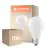 Mehrfachpackung 10x Ledvance Classic LED E27 Birne Fadenlampe Matt 17W 2452lm - 840 Kaltweiß | Ersatz Für 150W