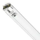 Philips T8 UV - C 17W - Ultraviolett | 60cm