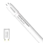 Noxion LED Röhre T8 Avant (EM/Mains) Standard Output 19W 2300lm - 830 Warmweiß | 150cm - Ersatz Für 58W